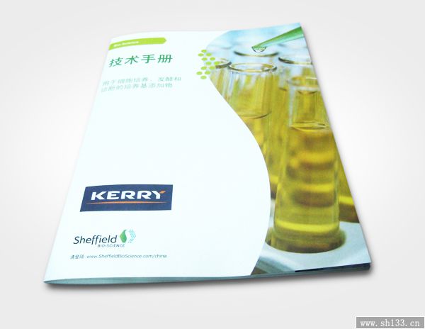 杂志设计印刷 企业杂志设计 企业杂志印刷