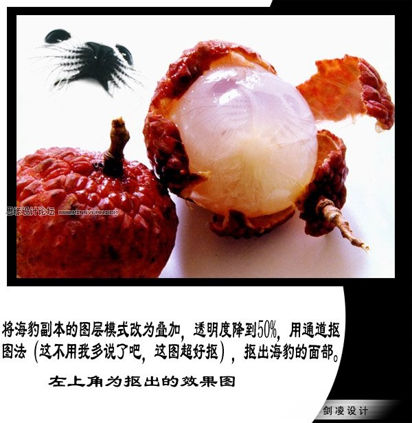 photoshop移花接木合成海豹荔枝,ps教程,思缘教程网关于禁毒的海报六合无绝对片