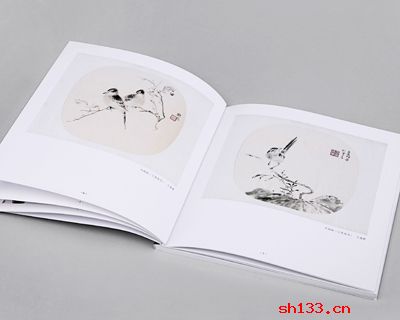 MLTY.COM-米乐(中国区)画册设计中印刷工艺有哪些